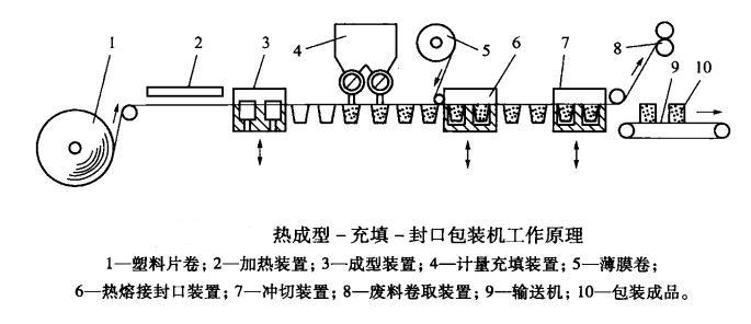 立式小型熱成型包裝機(jī)